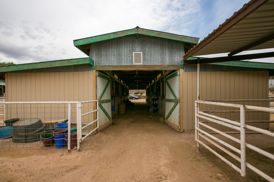 view of the aisle way of mare and foal barn.