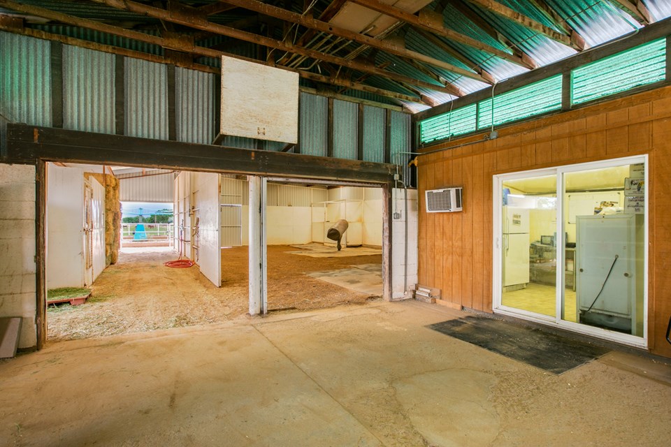 stallion barn with breeding area and lab.