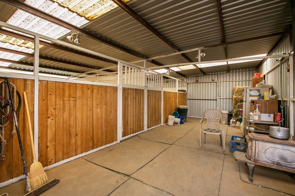 interior of the foaling barn.  two 20x20 foaling stalls.  no rubber mats here.