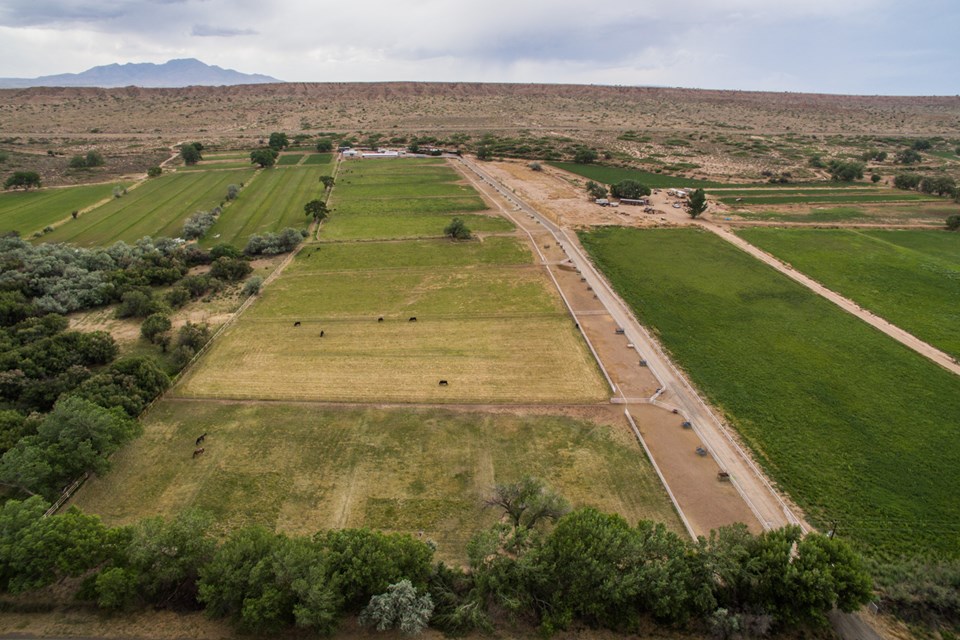 over view of the drive and the ten 2 1/2 acre fenced and cross fenced pastures. pastures are irrigated by underground pipe at the south end.  north end of pastures have pipe fenced paddocks with feeders for grain, supplements, alfalfa, water troughs and containment of horses while irrigating.