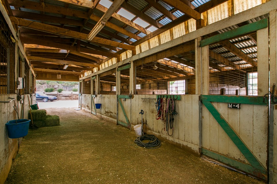 interior of the mare and foal barn. ten large stalls with rubber mats and access to pipe outside runs.