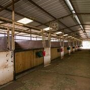 inside of 22 stall barn. skylights and misters too.