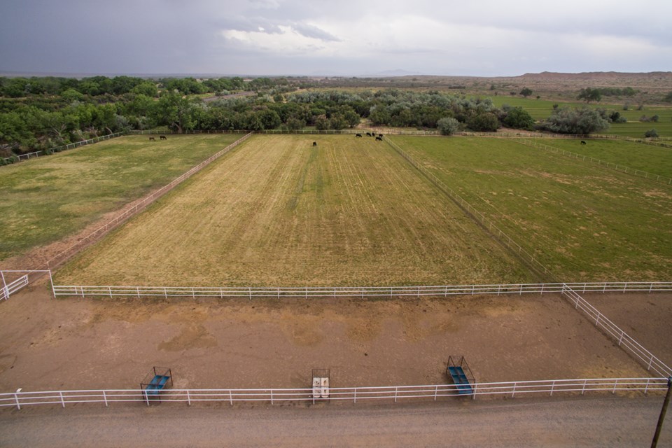 one of ten of 2 1/2 acre irrigated pastures. those specks are horses grazing.